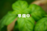 画像準備中